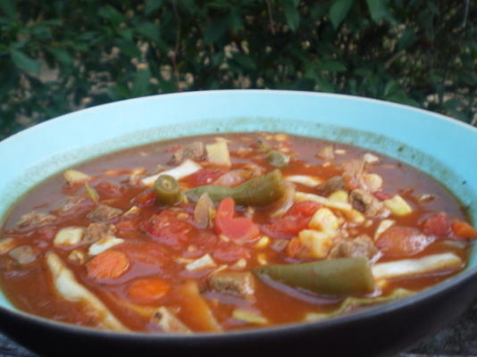 pittige rund- en groentesoep voor de crock-pot
