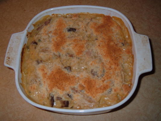 gemakkelijke tonijn tetrazzini