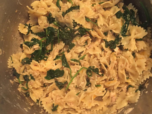 tonijn spinazie pasta