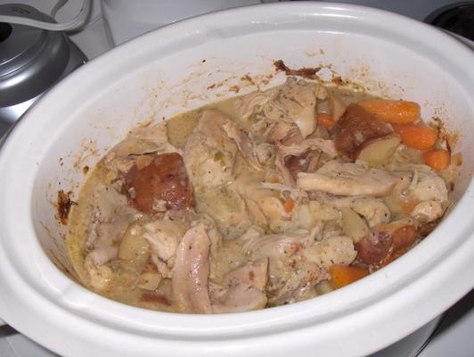 crock pot kip en groenten