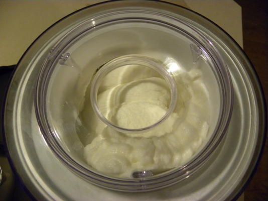 tom's vanille bevroren yoghurt