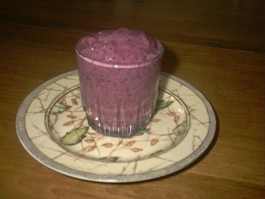 suikervrije blueberry slushie (bijna ijs)