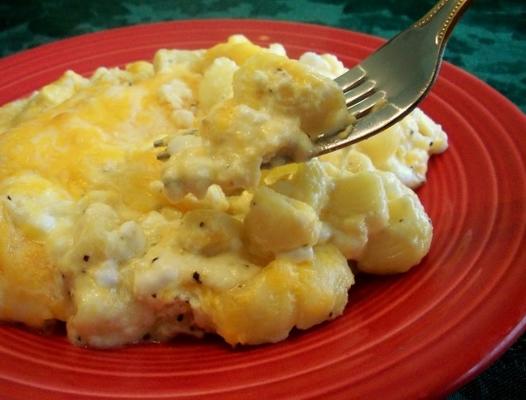 zelfgemaakte macaroni van de vader en kaas