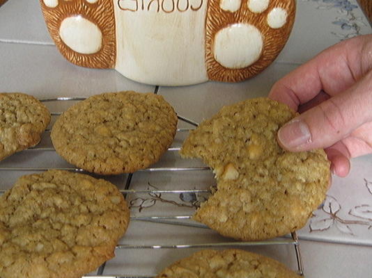 Mevr. macadamia notenkoekjes in het veld