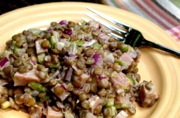 warme linzenham-salade met dijoncrème