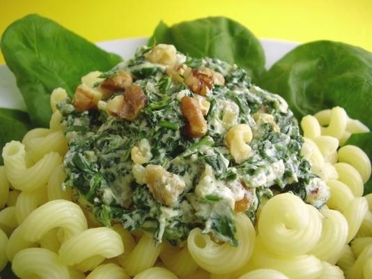 spinazie en ricotta kaassaus voor pasta