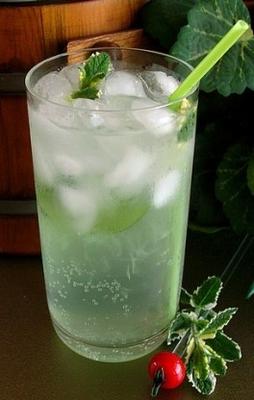 Aziatische perenmojito