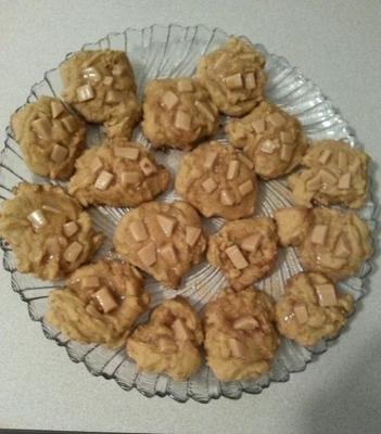 dulce de leche (caramel) koekjes