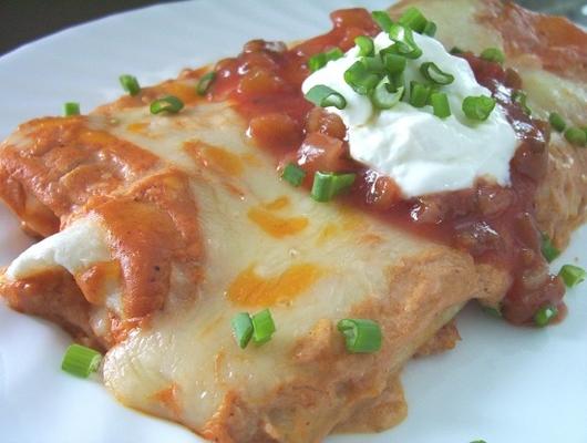 snelle Mexicaanse kaas enchiladas