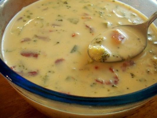gewicht kijkers heerlijke kaas soep (ook gemakkelijk)