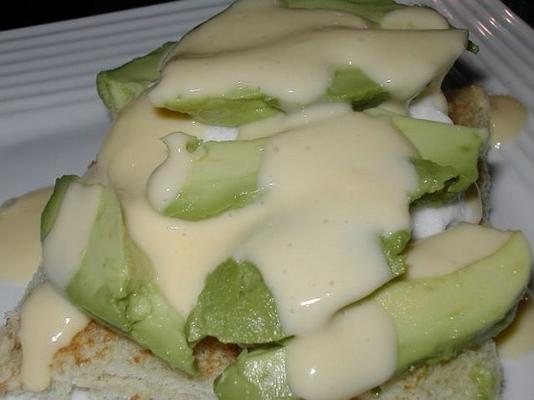 magere yoghurt hollandaise saus