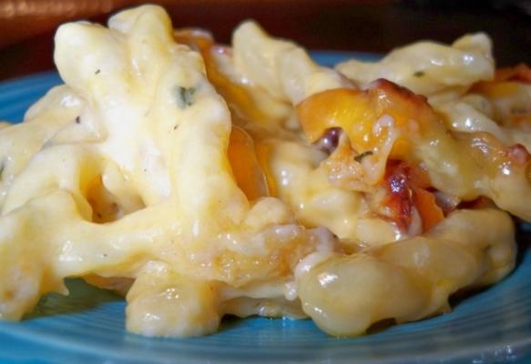 macaroni en kaas - eenvoudig en goedkoop