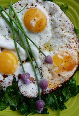balsamico gebakken eieren met verwelkte greens (in minder dan 10 minuten)
