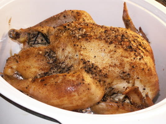 eenvoudige cruspotrotisserie kip