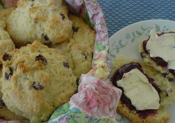 beste karnemelk rozijnen scones