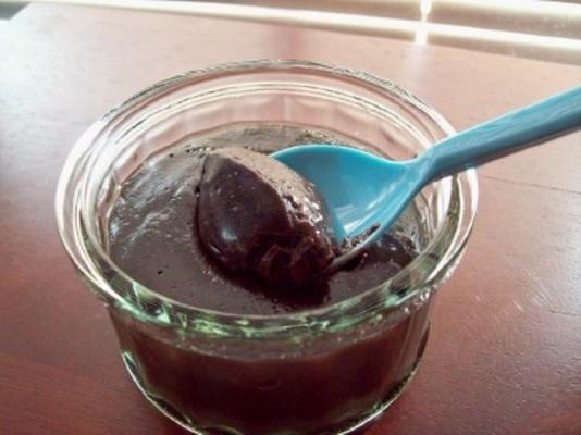 super snelle en makkelijke magnetron chocolade pudding