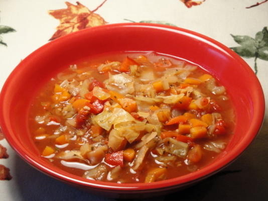 vegetarische koolsoep