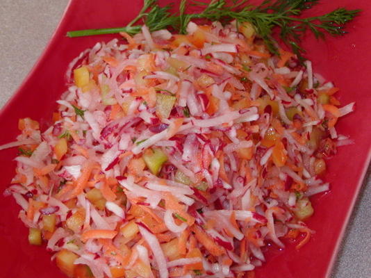 radijs slaw-ny stijl