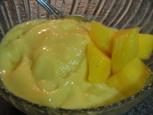 prachtig mango-ijs