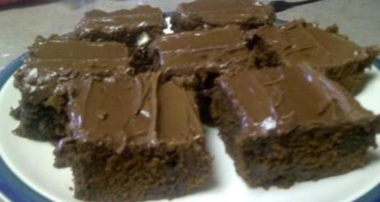 donkere chocolade fudge kokosmeel brownies