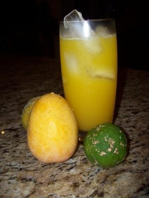 mango gember limeade