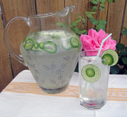 jalapeno-limoen spritzer
