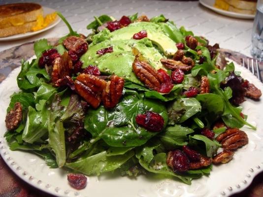 cranberry avocado salade met zoete balsamico vinaigrette