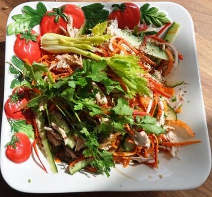 geweldige Vietnamese kippensalade