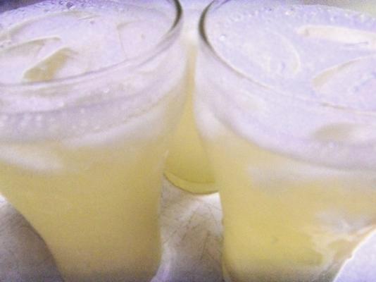 natuurlijke limonade