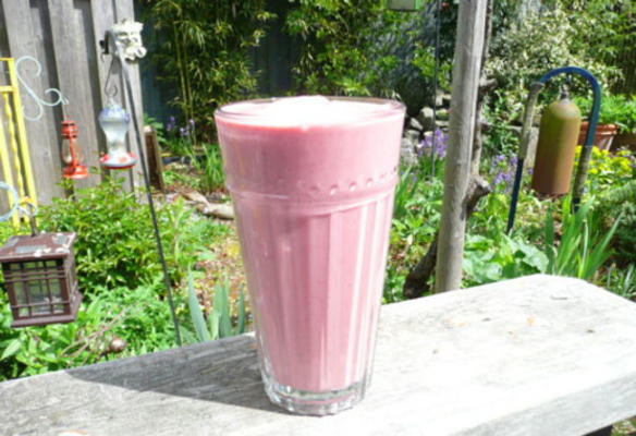 zelfgemaakte fruit smoothie met haver