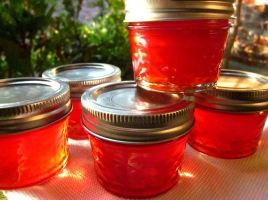 jalapeno cranberry jelly (kerstgelei)