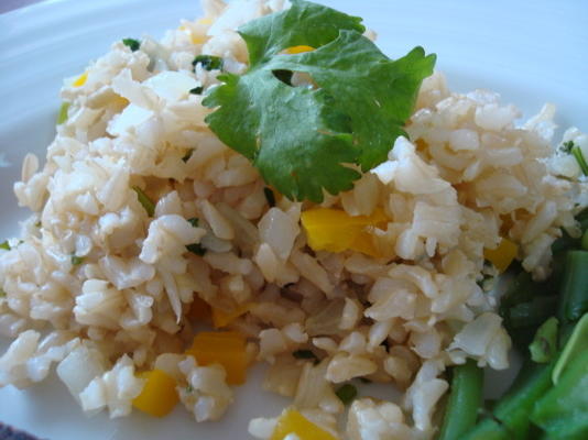 tico rijst (veg * n en bruine rijst)