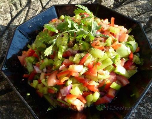 stevige tomatillo salsa
