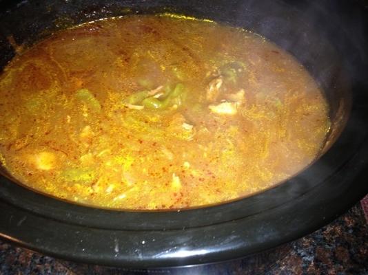 crock pot chili verde