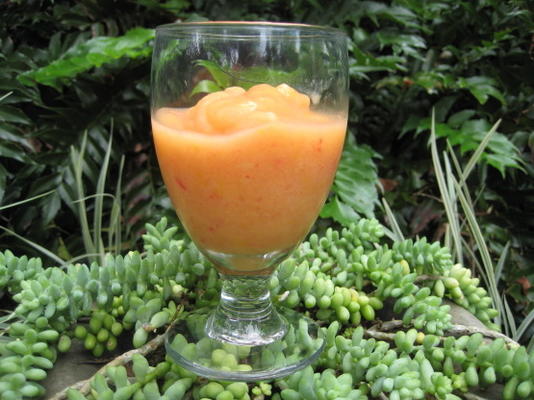 eenvoudige slush of sorbet (voor volwassenen)