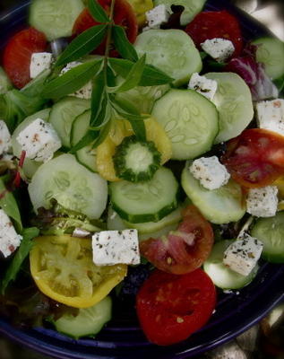 tomaat, komkommer en feta-salade met citroenverbena