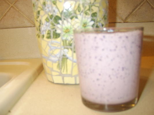 bosbessenyoghurt smoothie