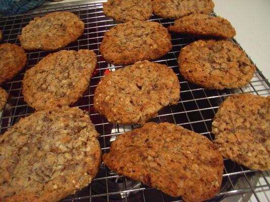 familie favoriete taaie abrikozen pecannoten havermout koekjes