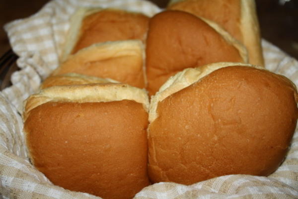 creoolse brood