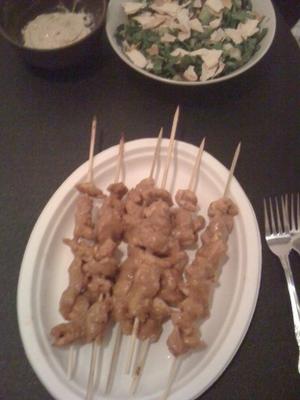 shish taouk (tawook) / kip kebab