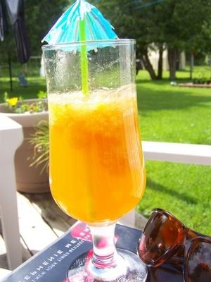 bevroren zomer slush thee