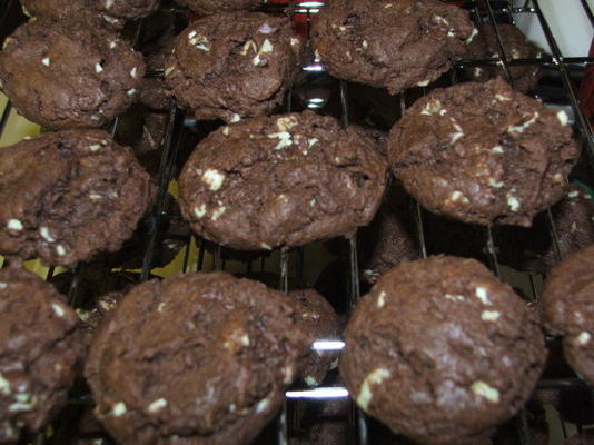 chocolade andes mint koekjes