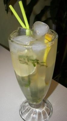 wodka-tijm limonade