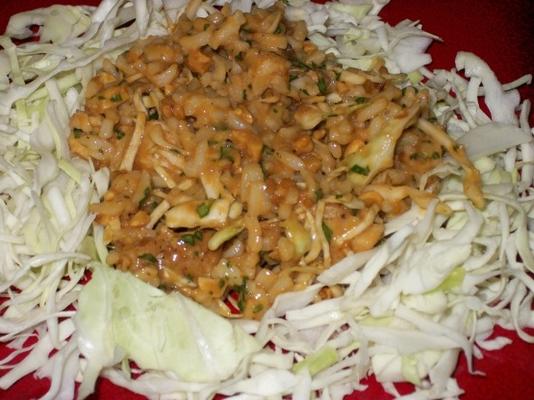 pittige Thaise kip rijst salade