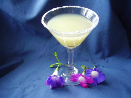 sara's perfecte margarita