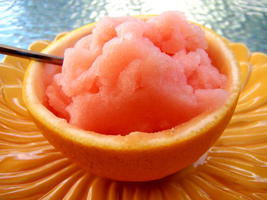 Campari sorbetto (intermezzo) van de hags