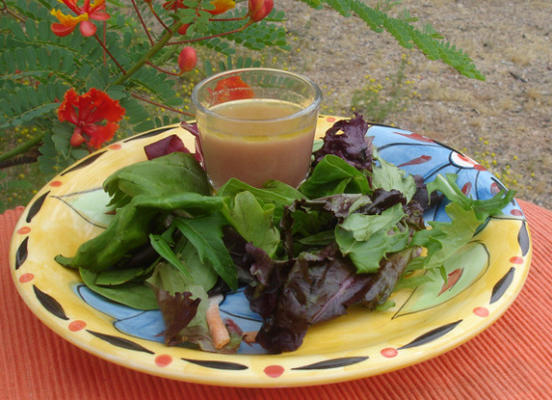 klaar voor de zomer frambozenvinaigrette