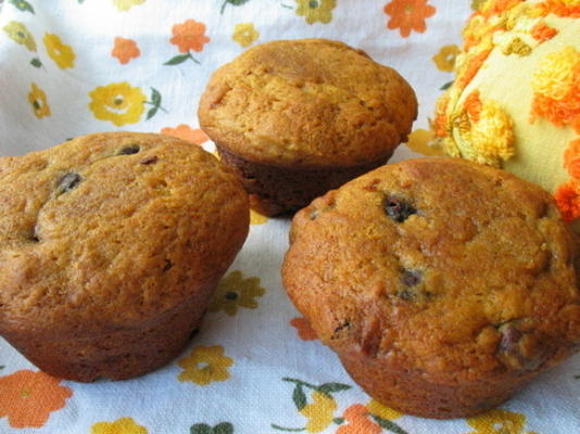 pompoenchocolade bedekt rozijn muffins