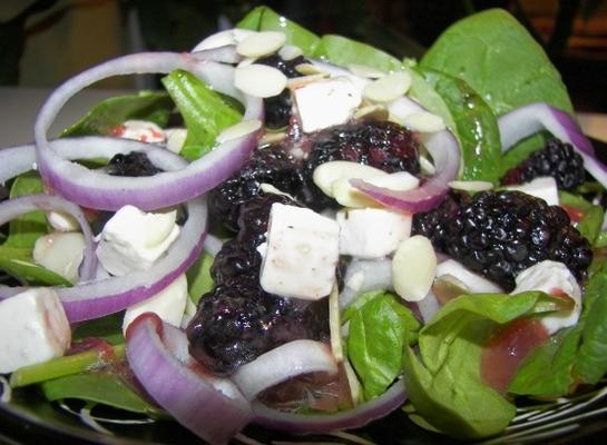 spinazie en bramen salade - voor een