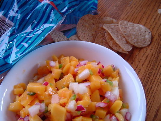 verse en gezonde salsa met mango en komkommer